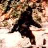 b2.jpg (37855 bytes)