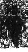 b4.jpg (30248 bytes)
