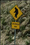 bigfoot.jpg (17102 bytes)