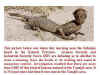 gatorboy.jpg (33865 bytes)