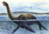 nessie_seal.jpg (12520 bytes)