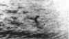 nesssurg2.jpg (35678 bytes)