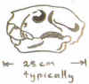 skull01.jpg (7140 bytes)